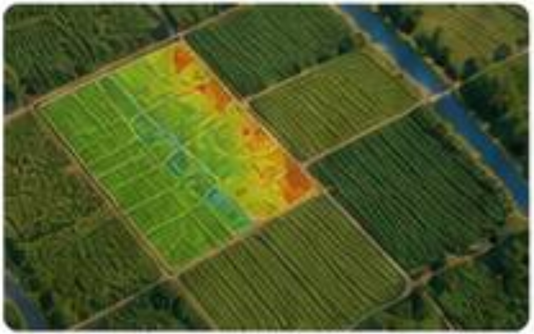 Mapa de cultivo