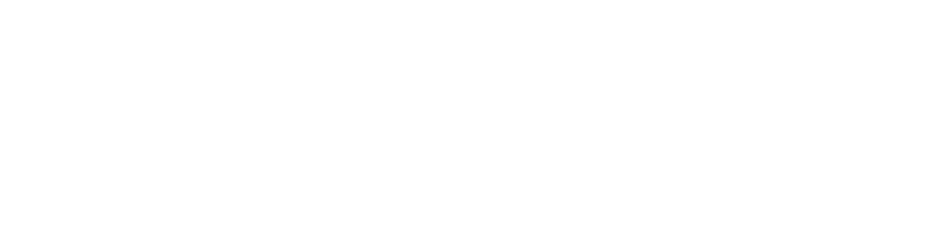 chasing Logo