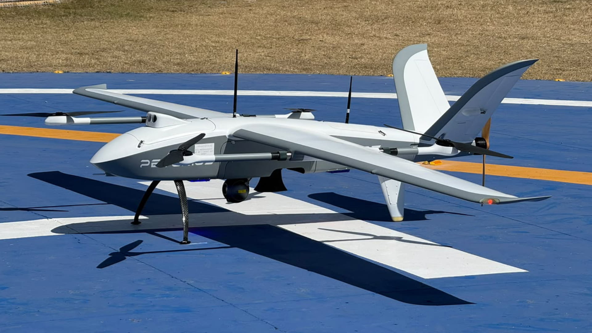 Petorius P25e VTOL RPAS