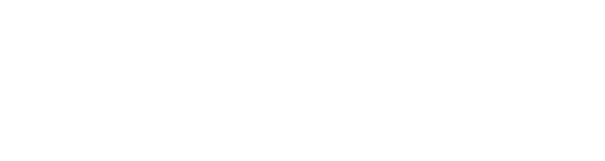 petorius Logo