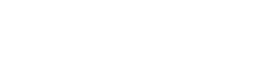 skyfend Logo
